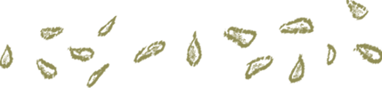 sunflower seed toppings graphic