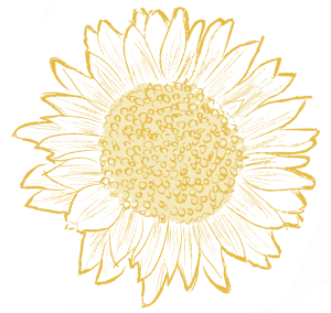 sunflower graphic