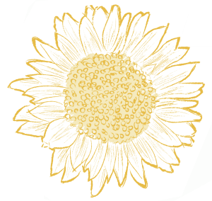 sunflower graphic